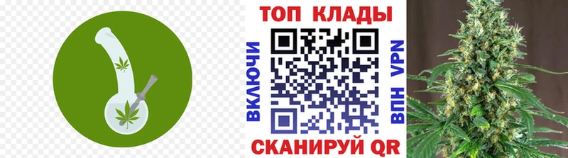 Где купить наркотики Новошахтинск СК  АМФЕТАМИН  Метадон  Гашиш  Бошки Шишки  Мефедрон 