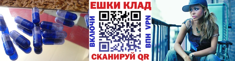 гидра как войти  Новошахтинск  Экстази Philipp Plein 