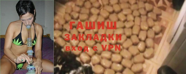 сатива Аркадак