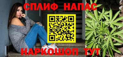 стафф Заводоуковск