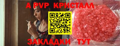 стафф Заводоуковск