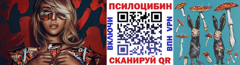 Галлюциногенные грибы мухоморы  закладки  omg ссылка  Новошахтинск 