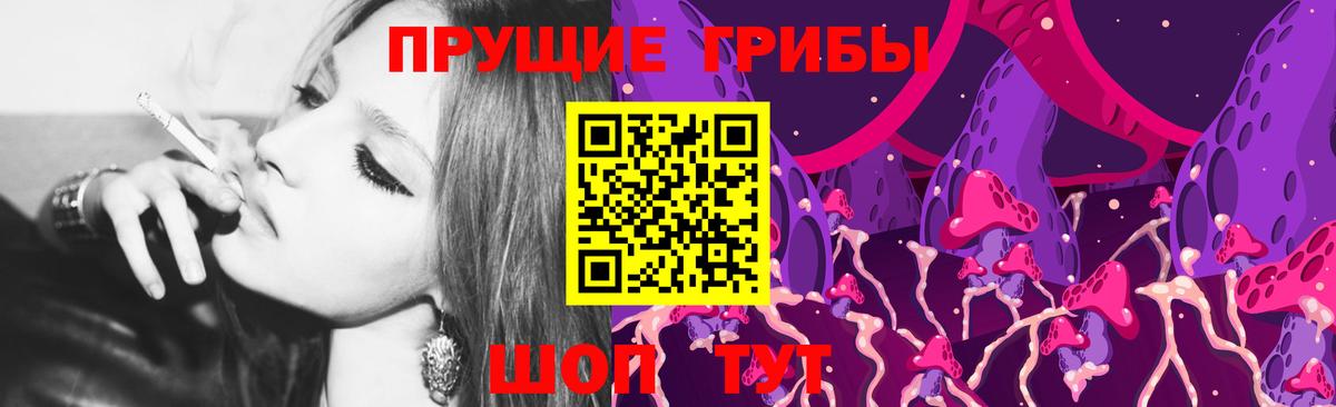 Галлюциногенные грибы Magic Shrooms  Вход с VPN  Новошахтинск  сколько стоит  Псилоцибиновые грибы мицелий 