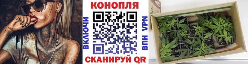наркошоп  Новошахтинск  KRAKEN сайт  МАРИХУАНА Amnesia 